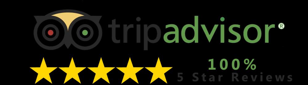 TripAdvisor Review