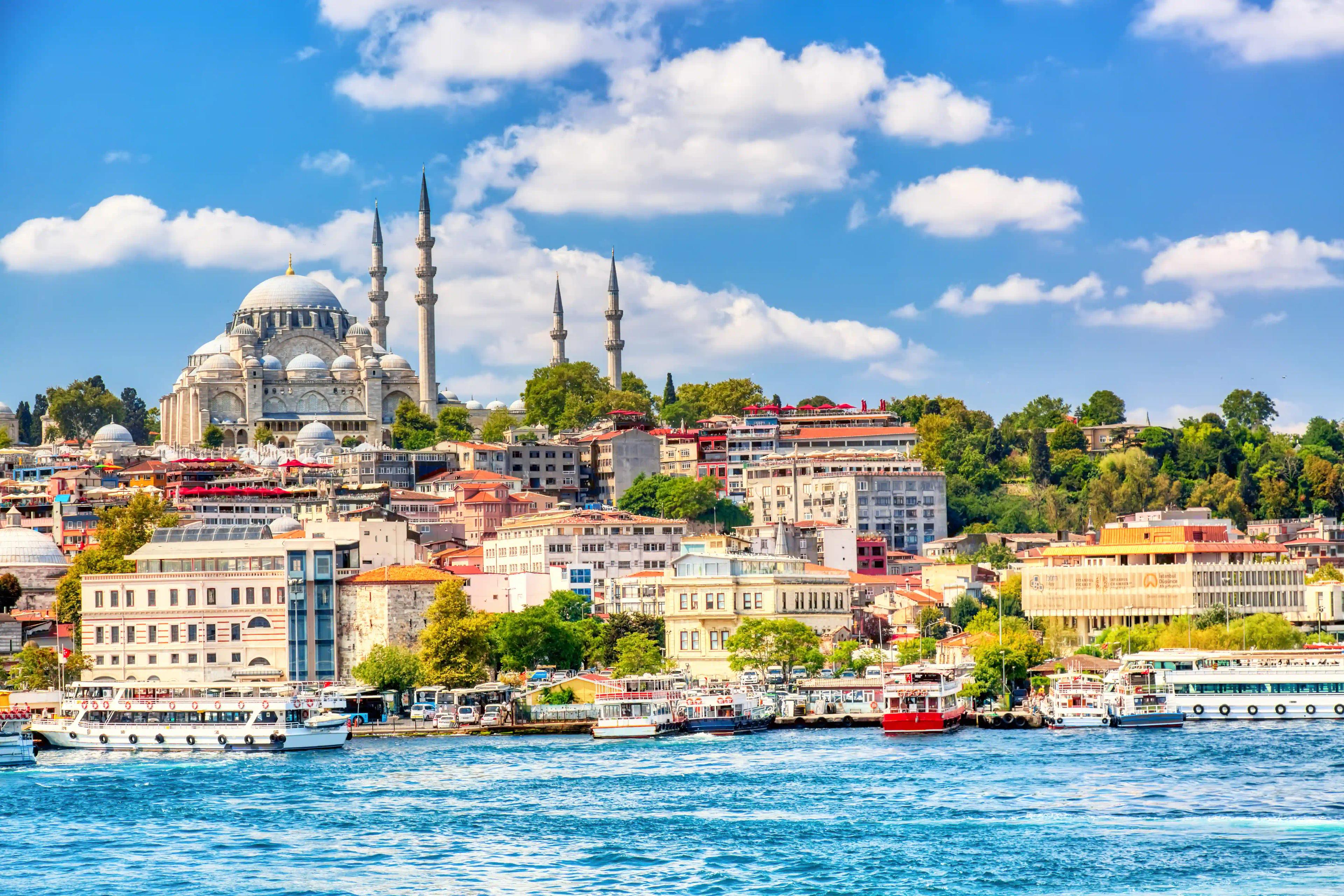Istanbul Bosphorus Lunch Cruise | Explore the Strait and the Black Sea